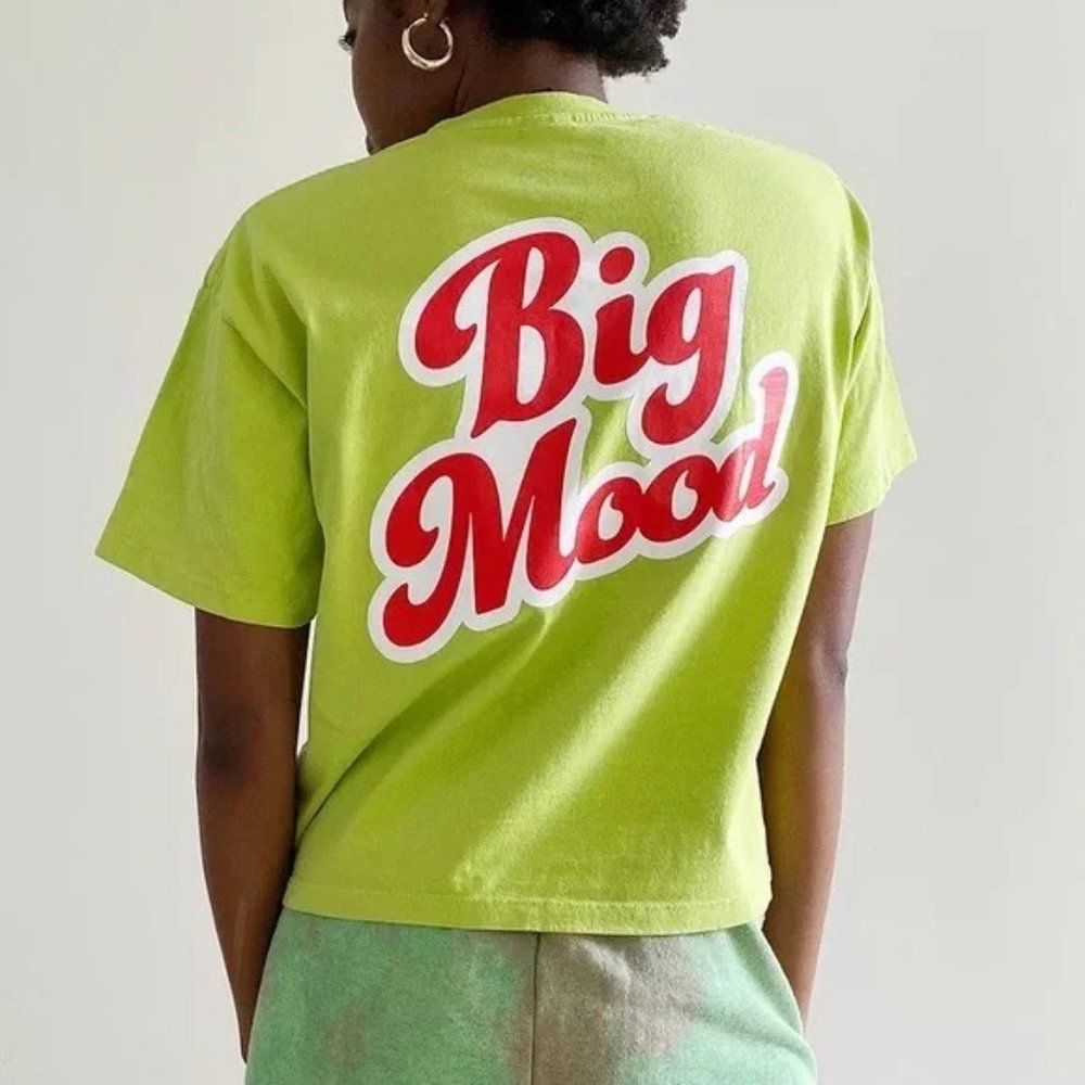 Obey BIG MOOD T-SHIRT IN OPEN GREEN, XS